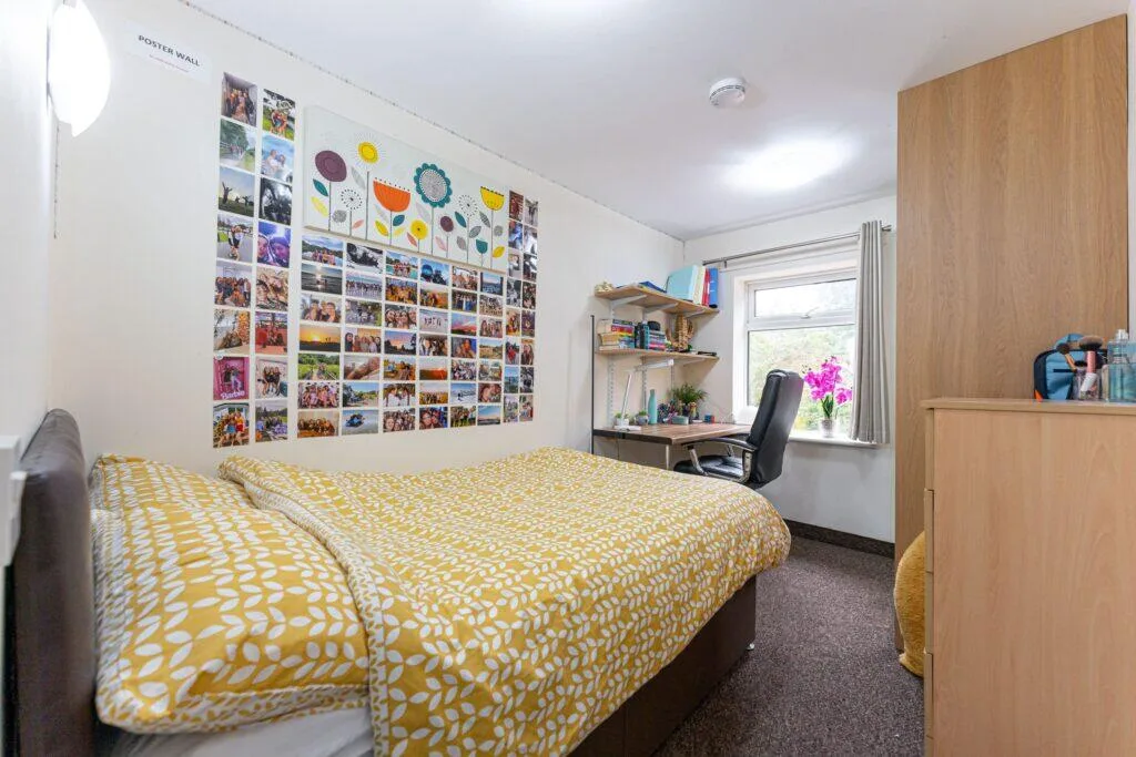 7 bedroom terraced house for rent