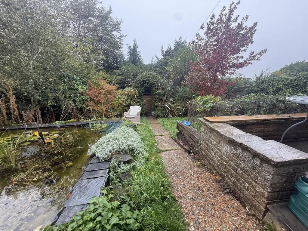 3 bedroom house for rent