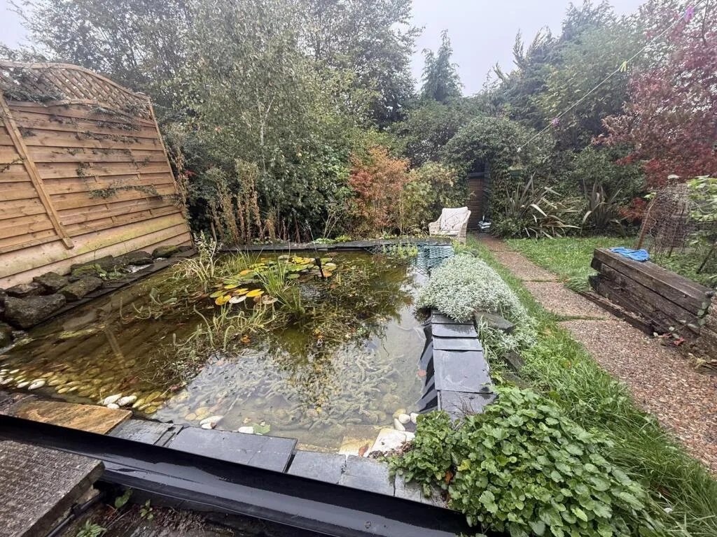 3 bedroom house for rent