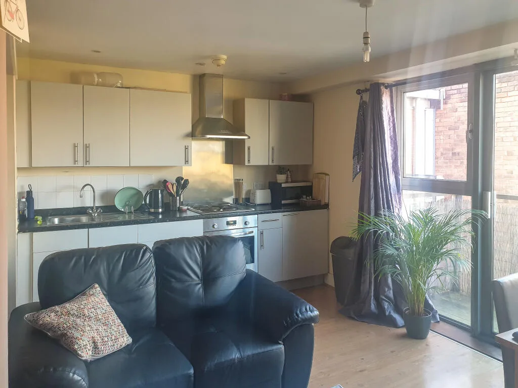1 bedroom apartment for rent