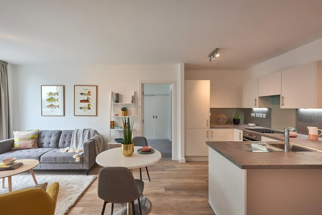 2 bedroom flat for rent