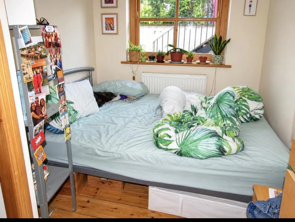 3 bedroom apartment for rent