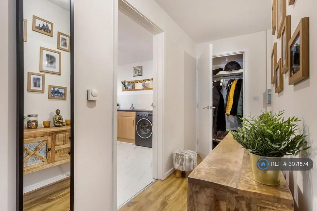 1 bedroom flat for rent