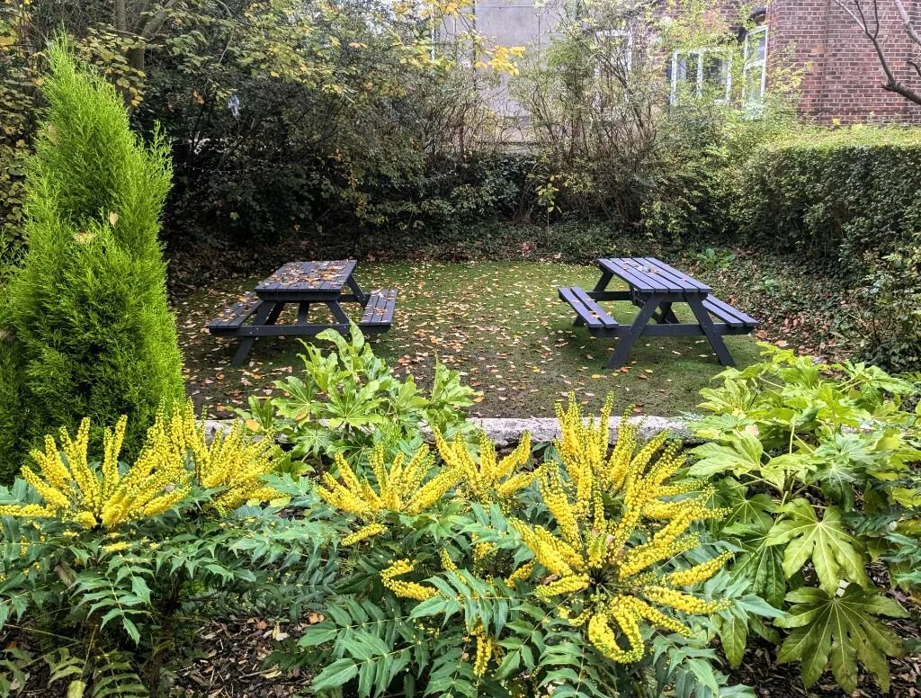 8 bedroom semi-detached house for rent