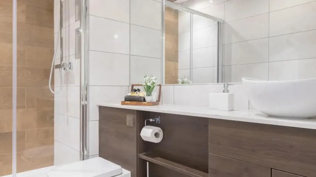 1 bedroom apartment for rent