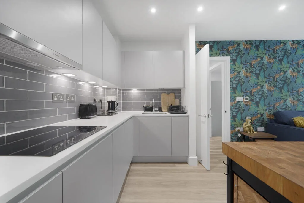 1 bedroom apartment for rent