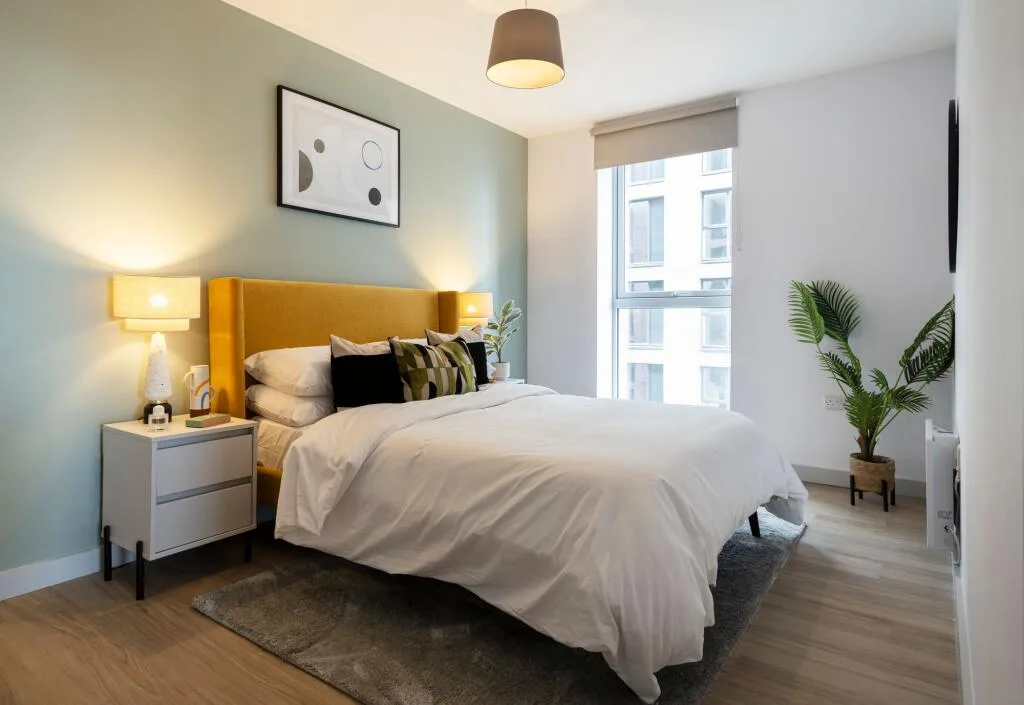 3 bedroom apartment for rent