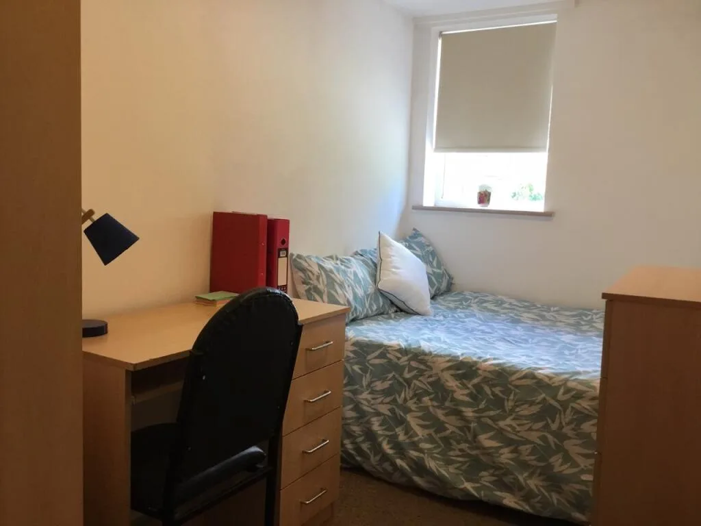 7 bedroom house for rent