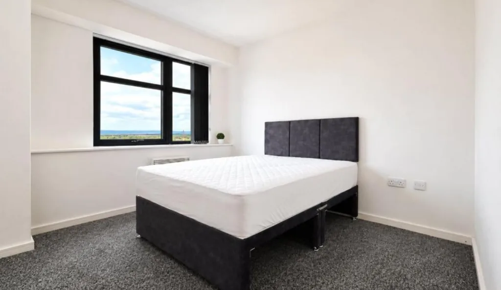 1 bedroom property for rent