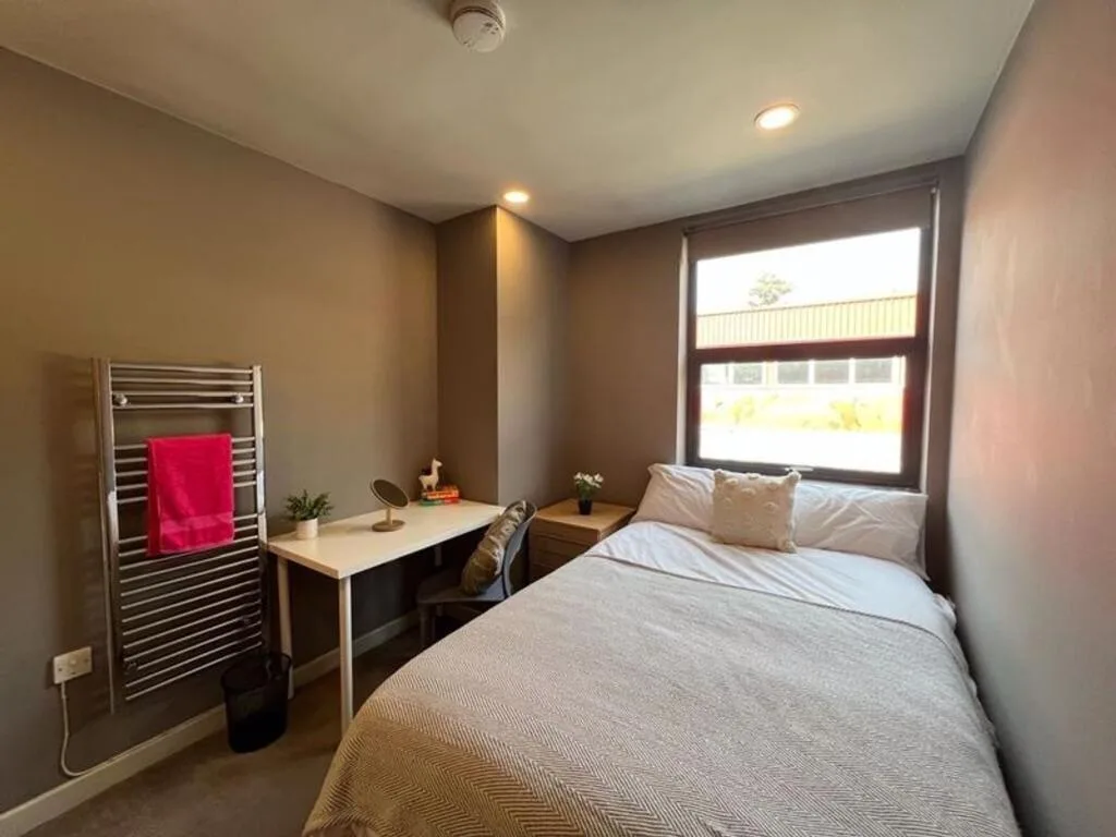 8 bedroom house for rent