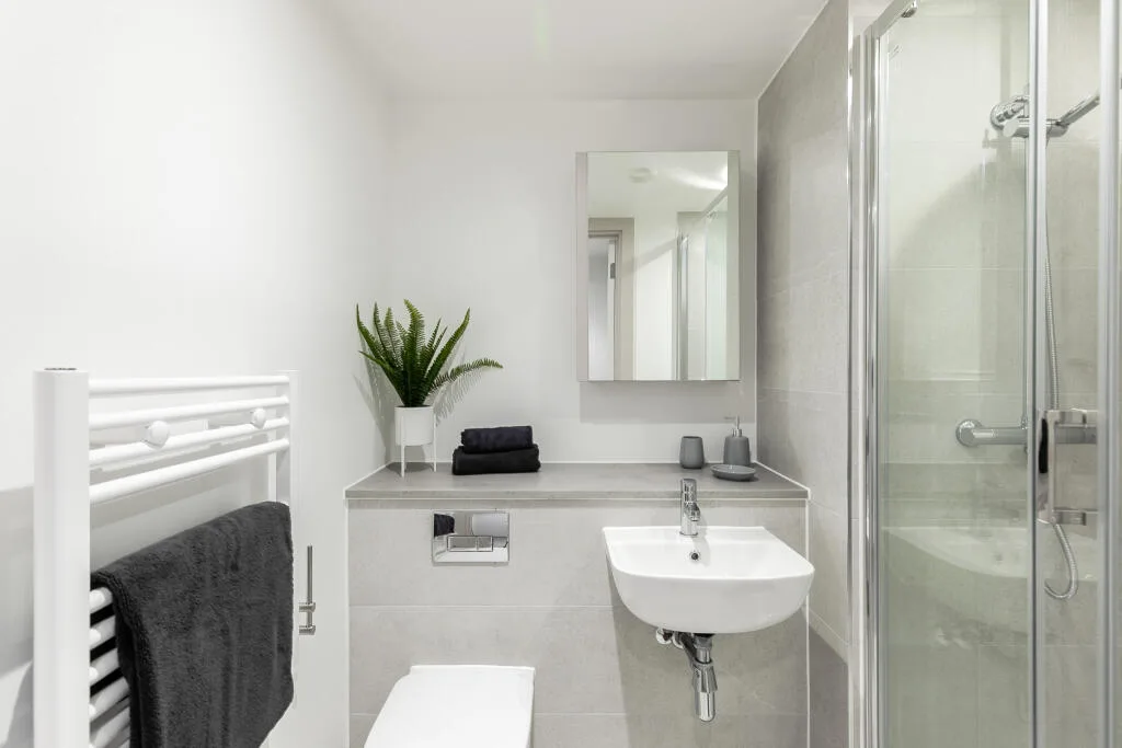 1 bedroom apartment for rent
