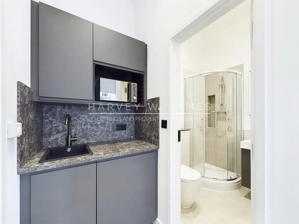 Studio flat for rent