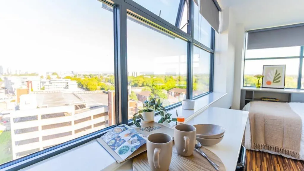 1 bedroom apartment for rent