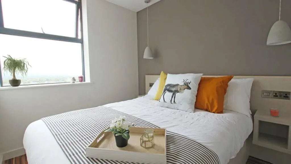 1 bedroom apartment for rent