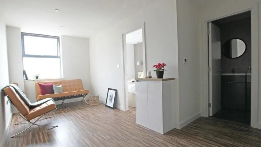 1 bedroom apartment for rent