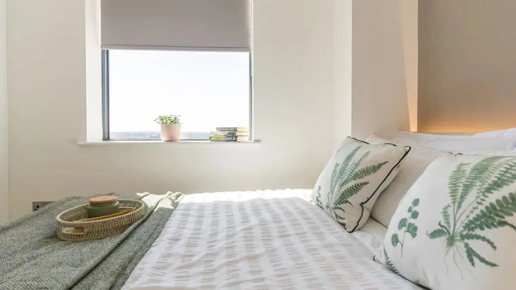 1 bedroom apartment for rent