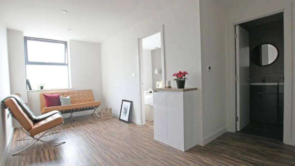 1 bedroom apartment for rent