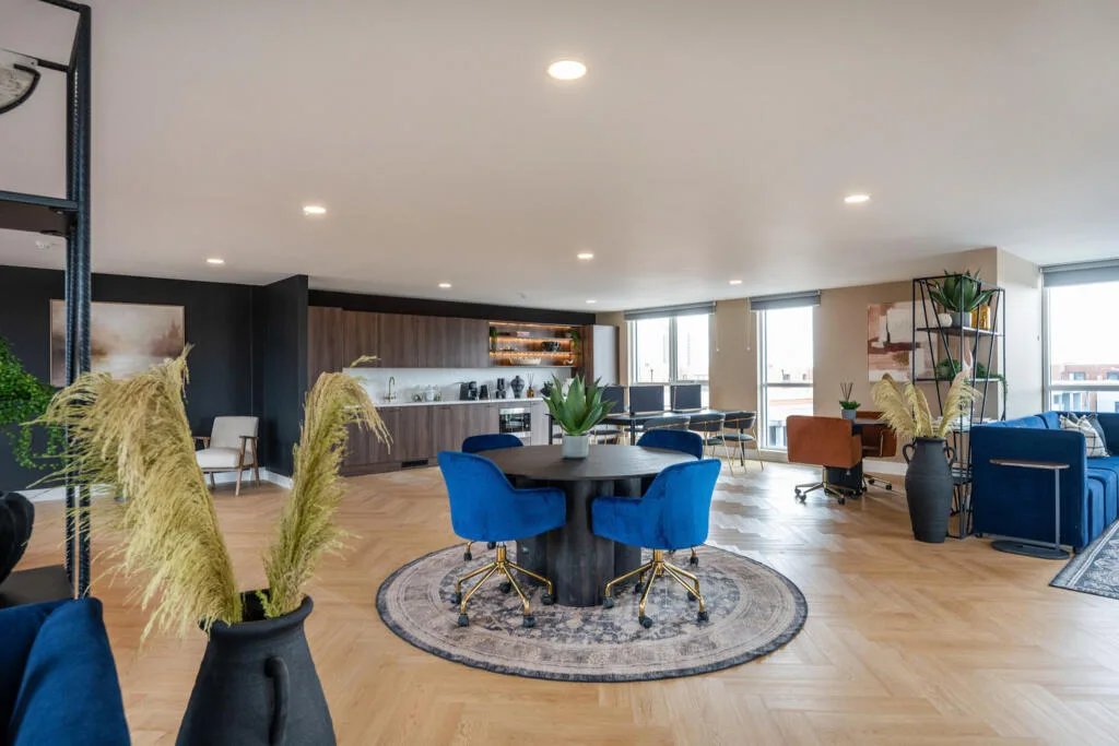 Studio flat for rent