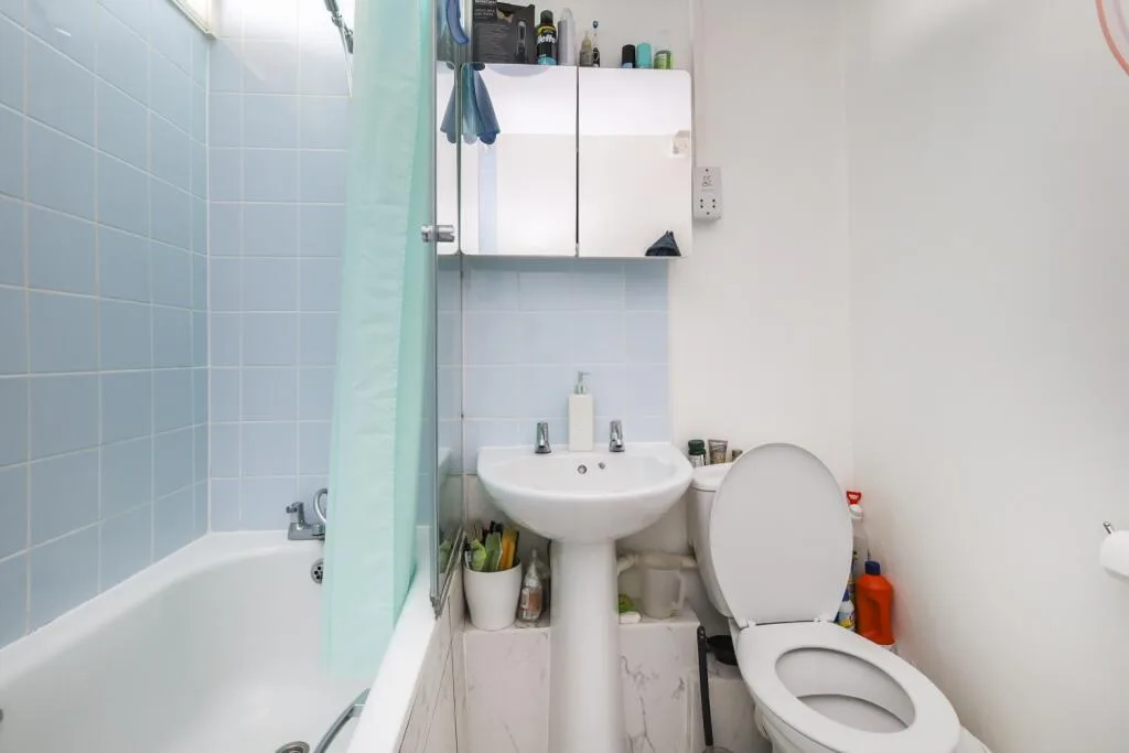 1 bedroom flat for rent