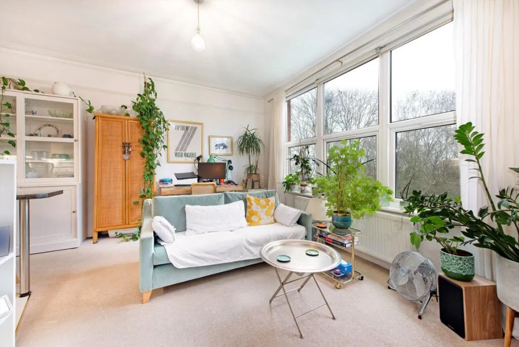 1 bedroom flat for rent