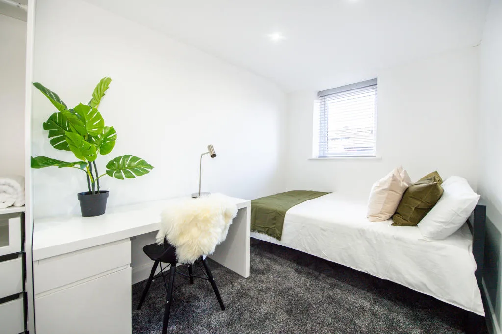 6 bedroom house for rent