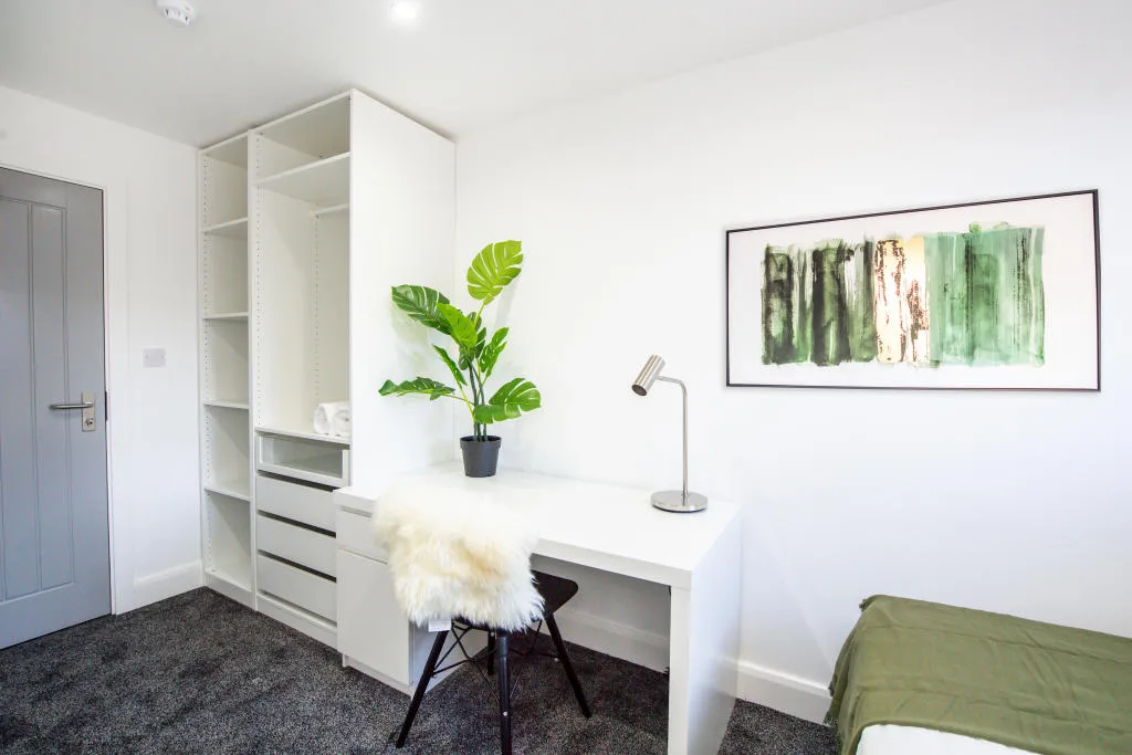 6 bedroom house for rent