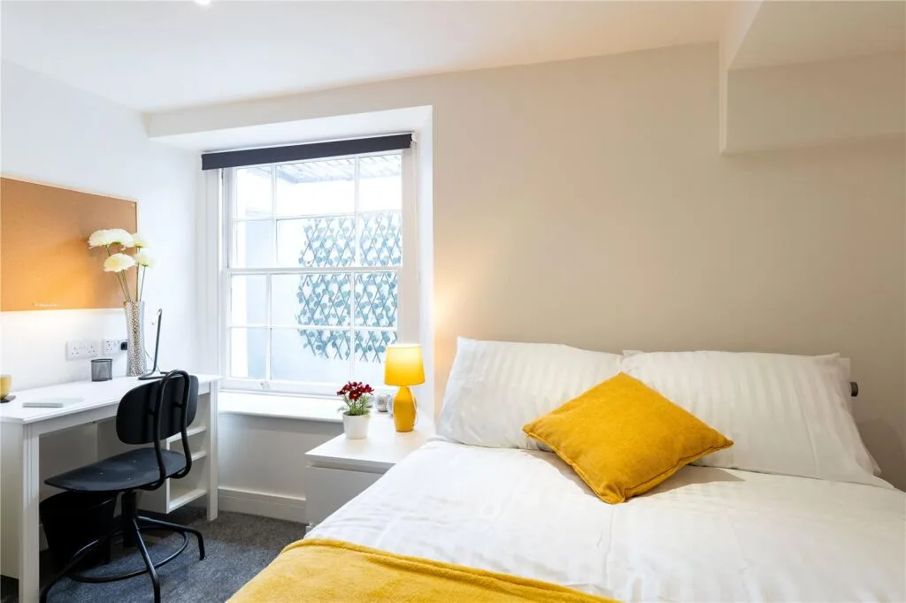 5 bedroom apartment for rent
