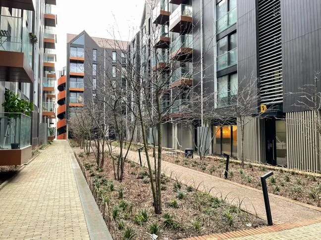 1 bedroom flat for rent