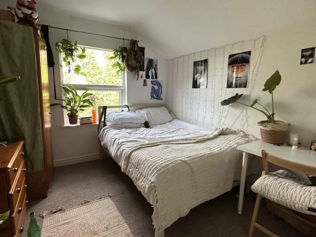 8 bedroom terraced house for rent