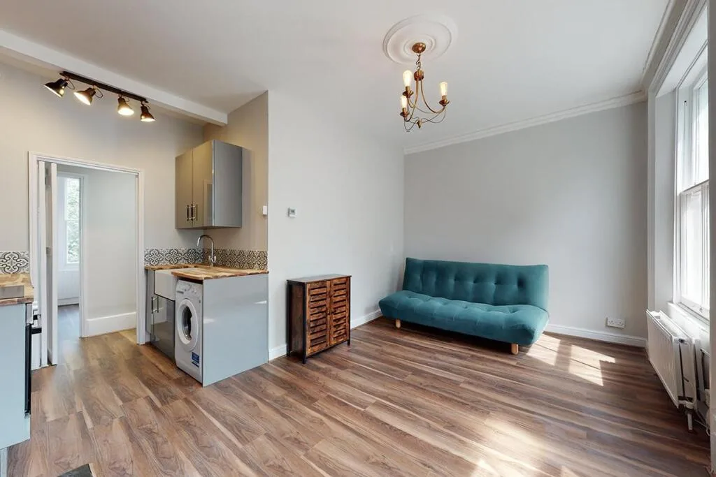 1 bedroom apartment for rent