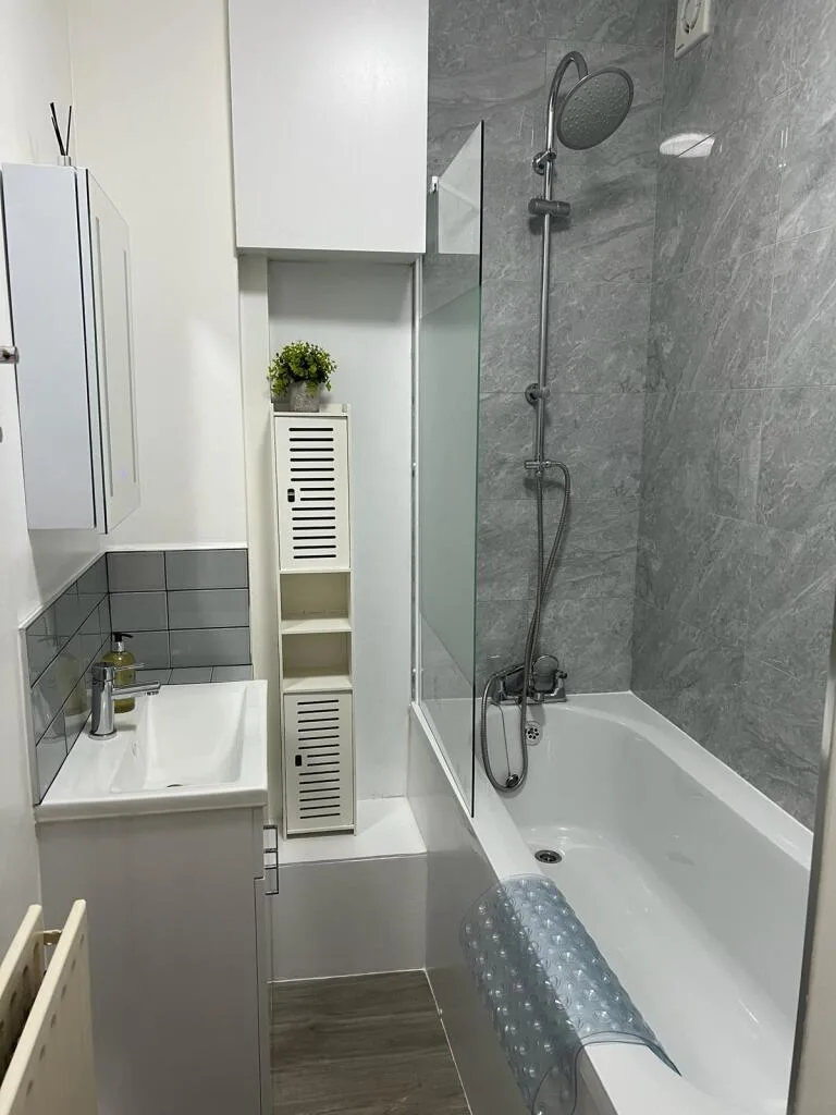 1 bedroom apartment for rent