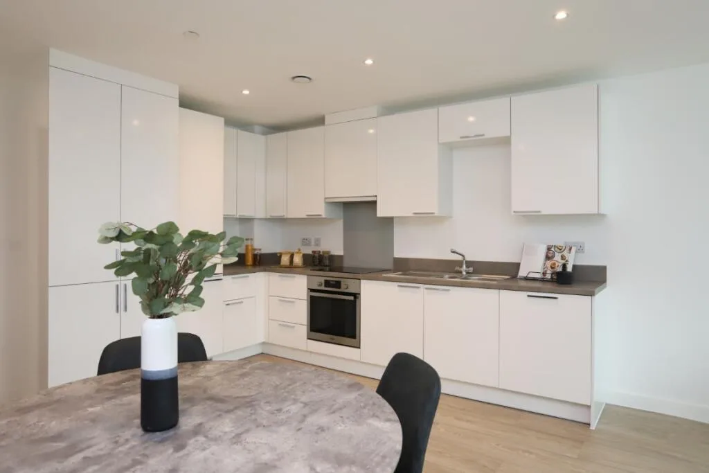 1 bedroom apartment for rent