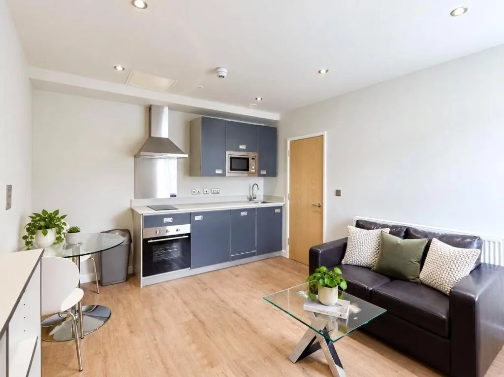 1 bedroom apartment for rent