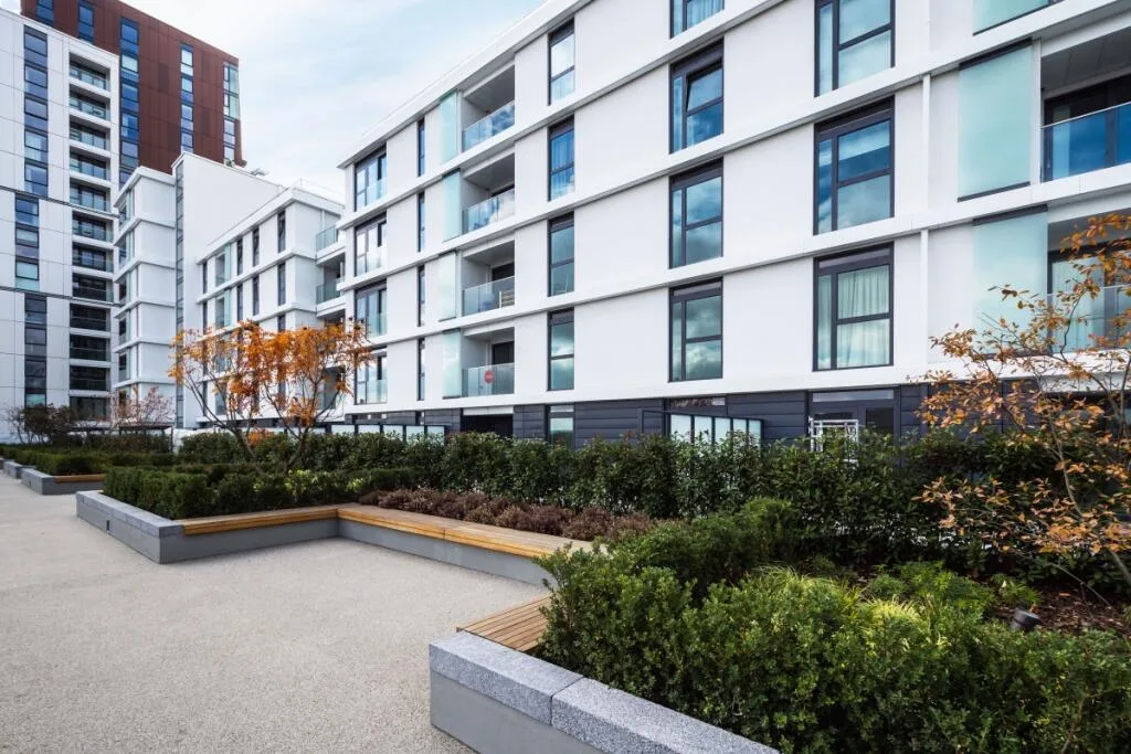 1 bedroom apartment for rent