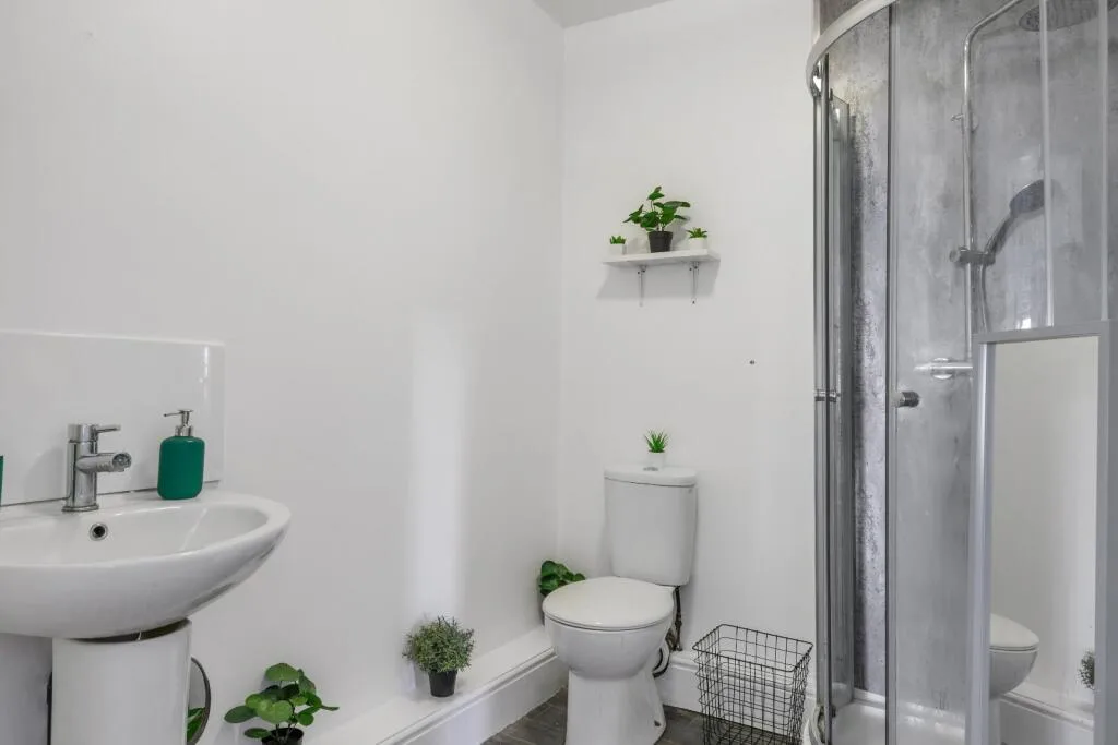 4 bedroom flat for rent