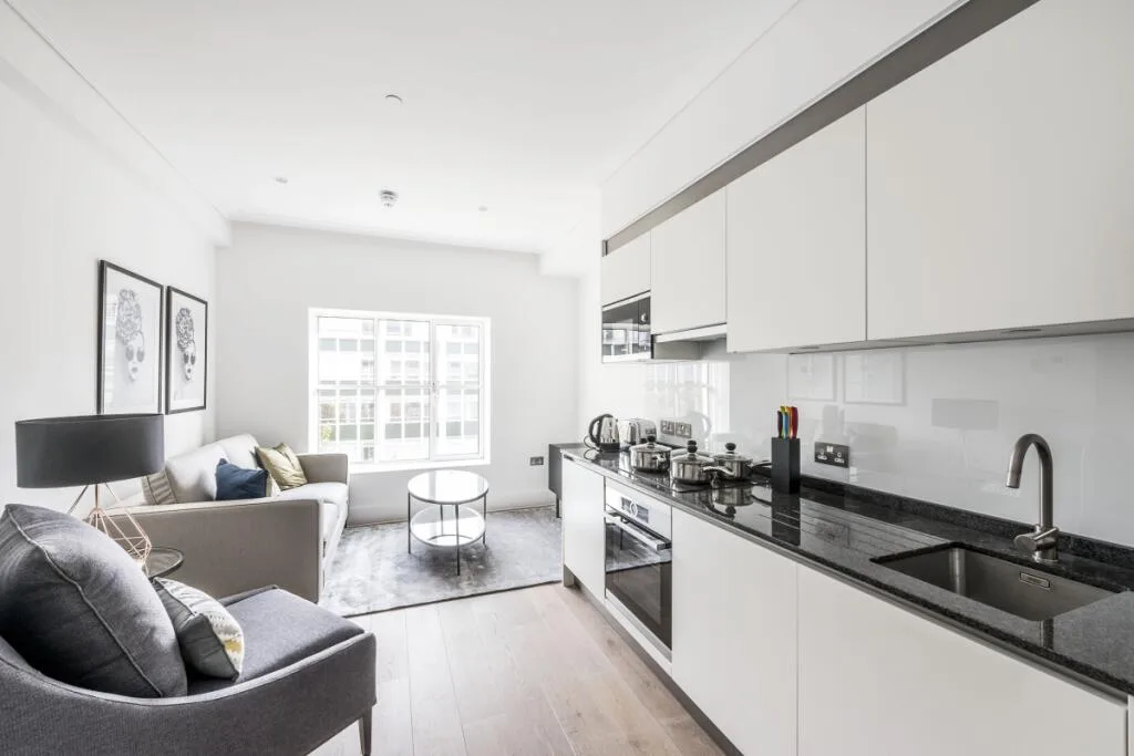 1 bedroom apartment for rent