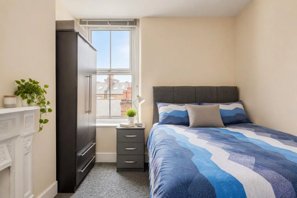 1 bedroom apartment for rent