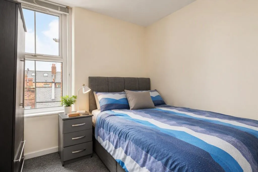1 bedroom apartment for rent