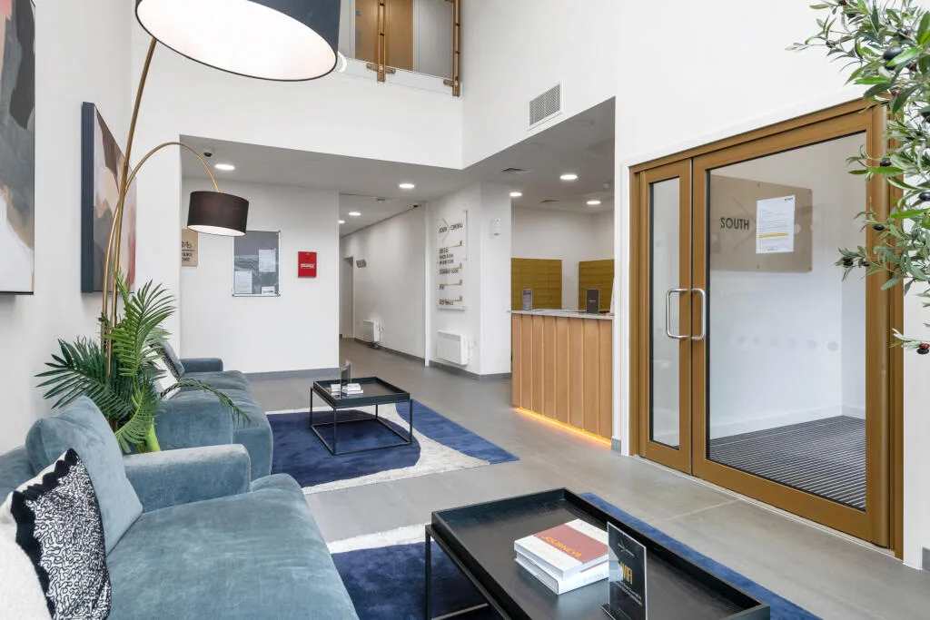 1 bedroom apartment for rent