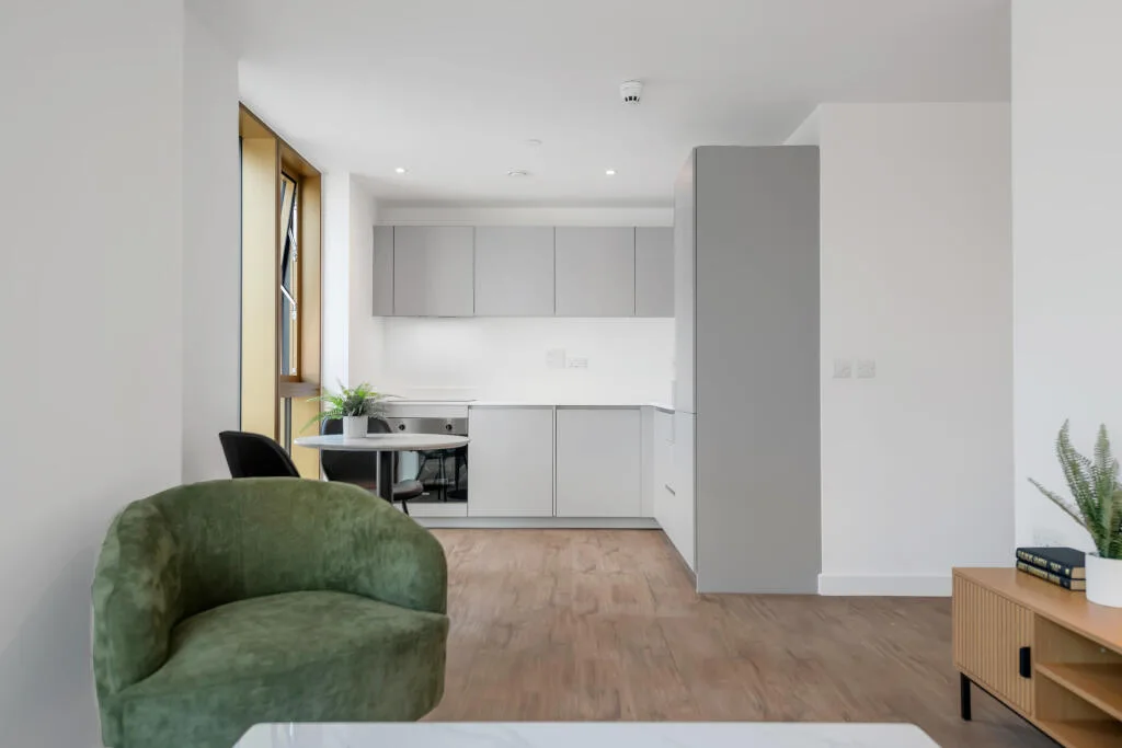 1 bedroom apartment for rent