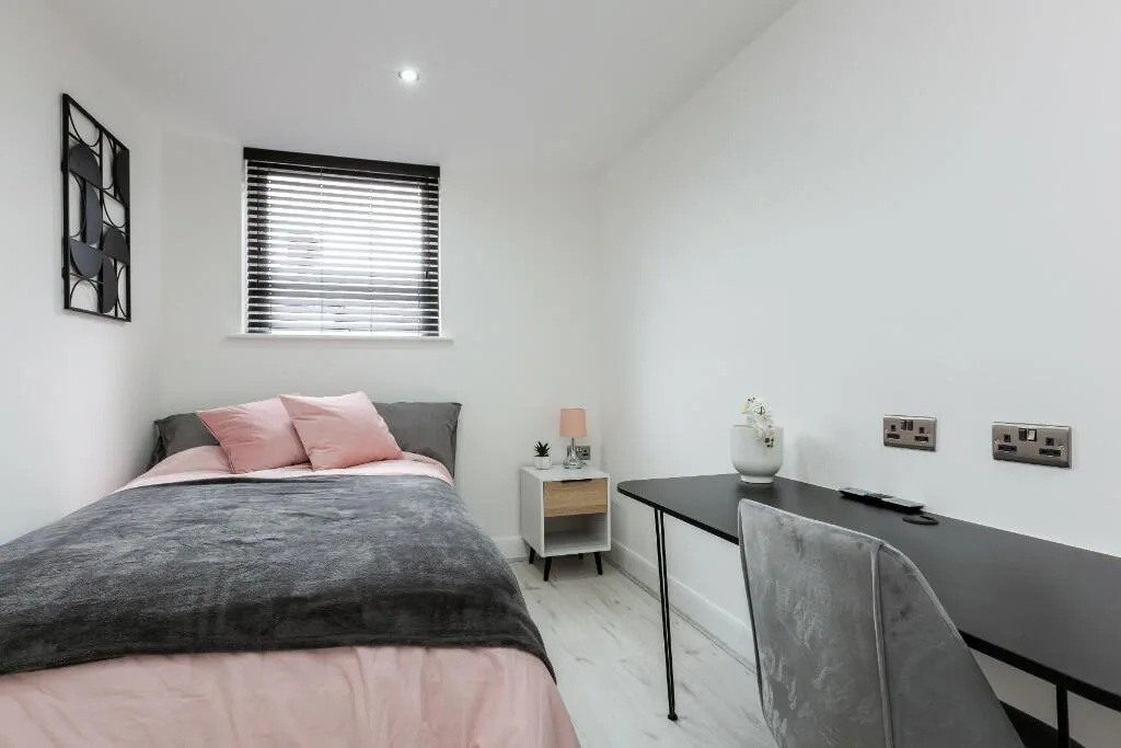 6 bedroom house for rent