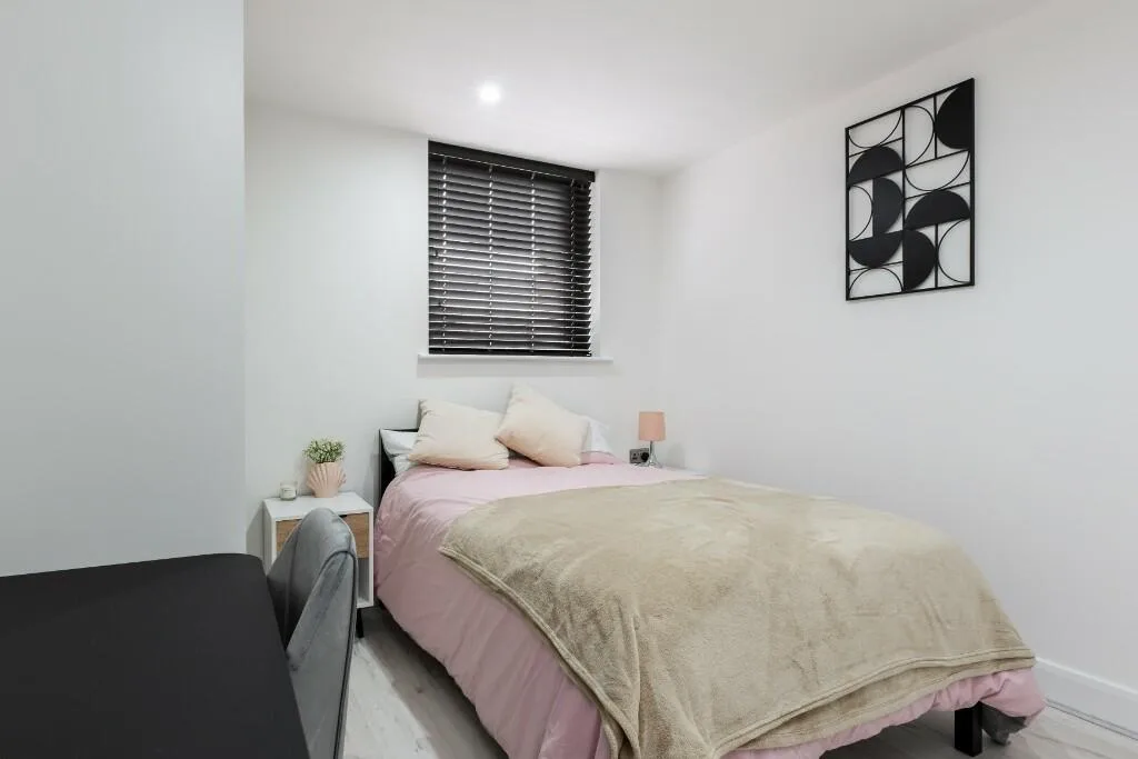6 bedroom house for rent