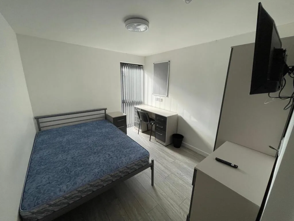11 bedroom flat for rent