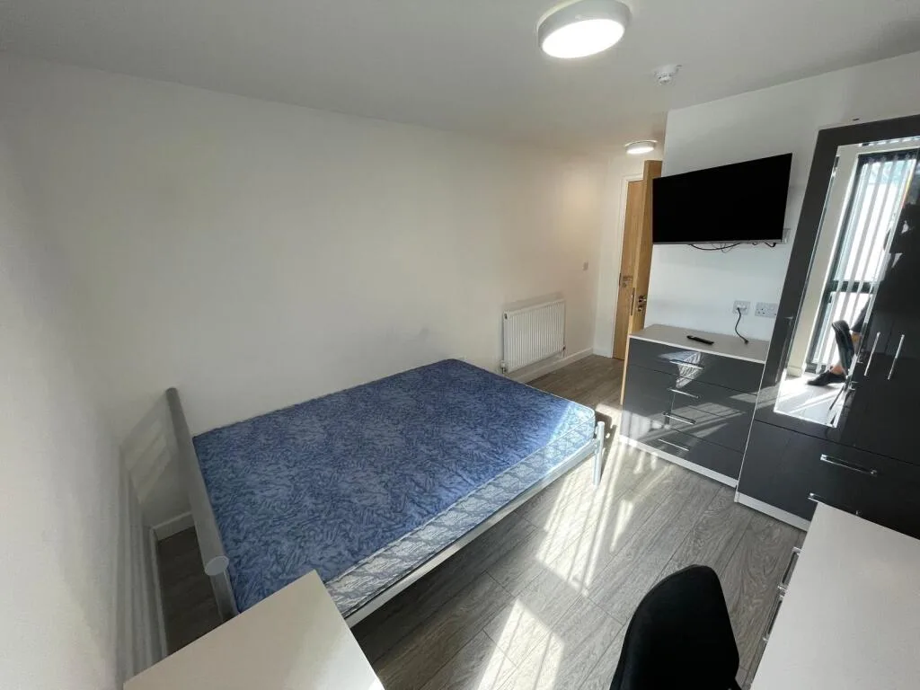 11 bedroom flat for rent