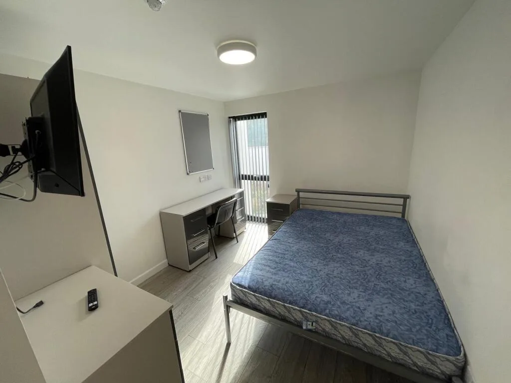 11 bedroom flat for rent