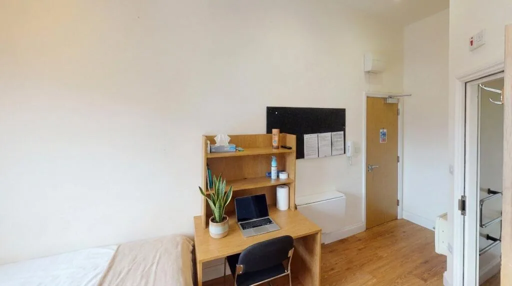 Studio flat for rent