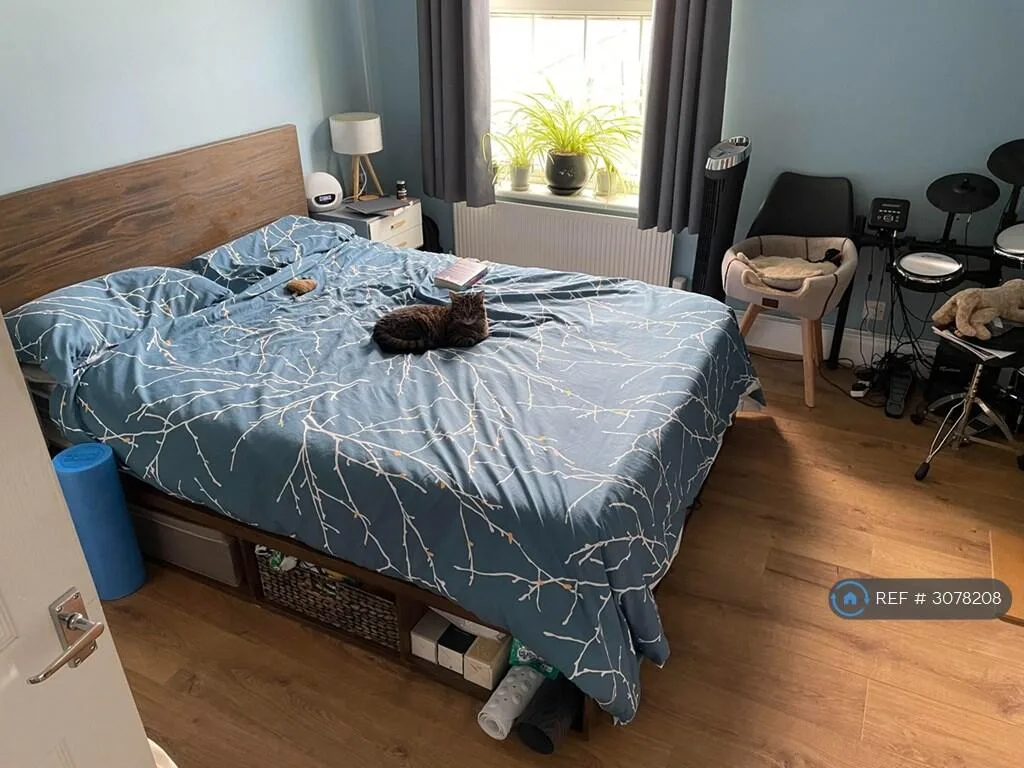 1 bedroom flat for rent