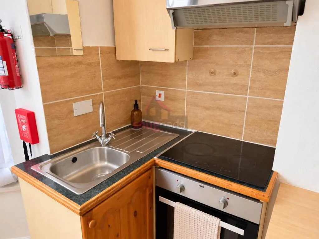 Studio flat for rent