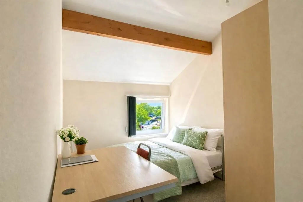 5 bedroom flat for rent