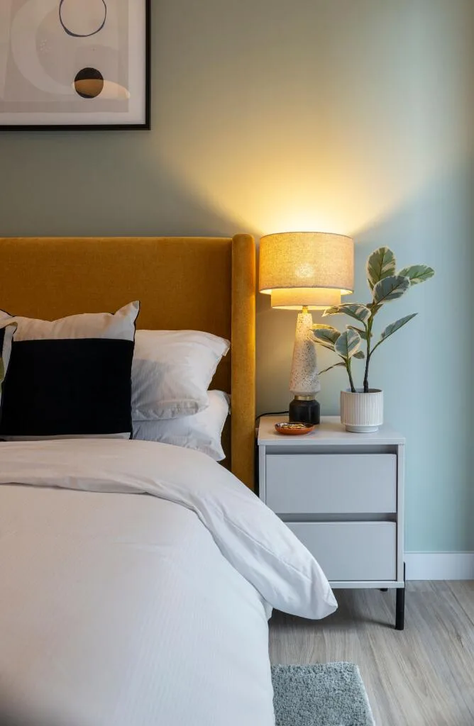 3 bedroom apartment for rent